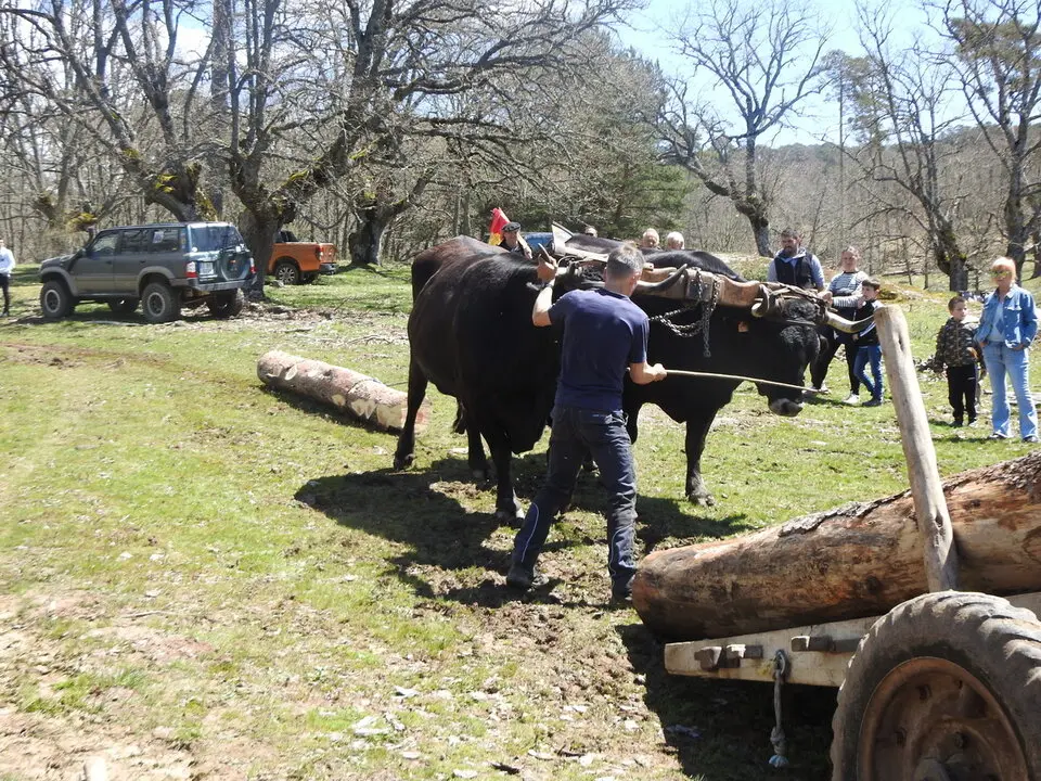 CARRETEROS EN REVENGA (77)