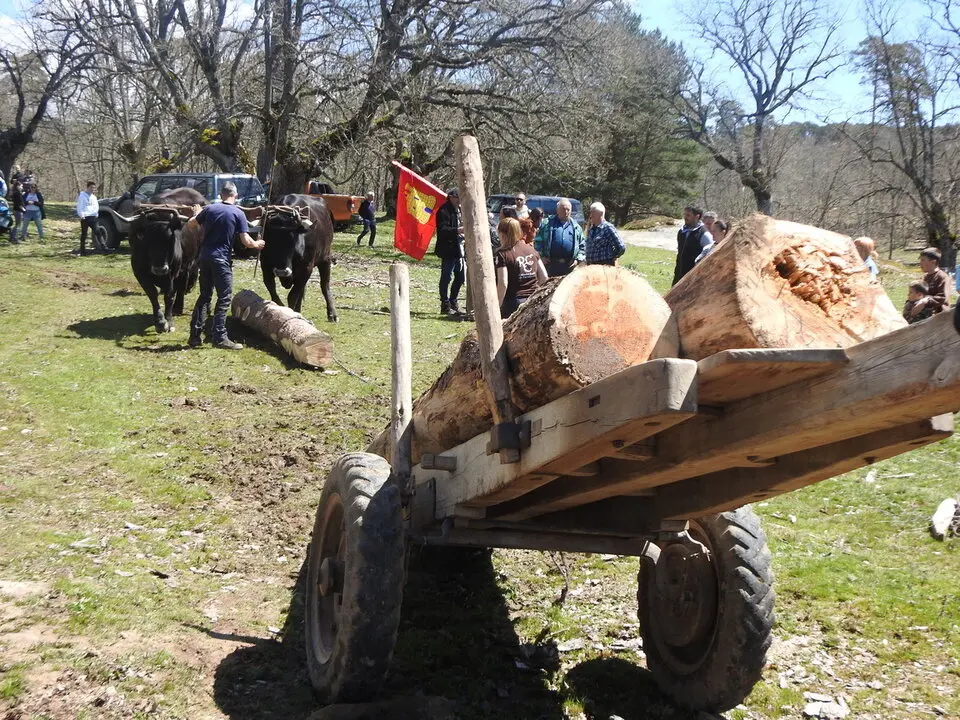 CARRETEROS EN REVENGA (78)