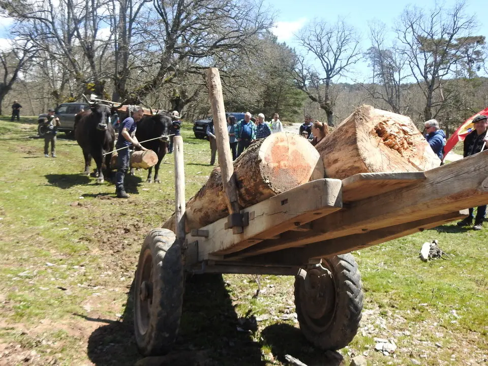 CARRETEROS EN REVENGA (79)