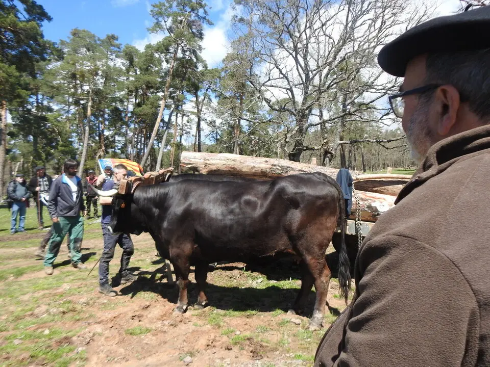 CARRETEROS EN REVENGA (80)