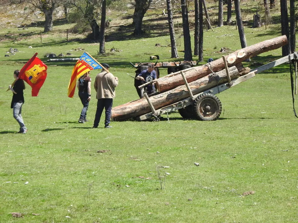 CARRETEROS EN REVENGA (81)