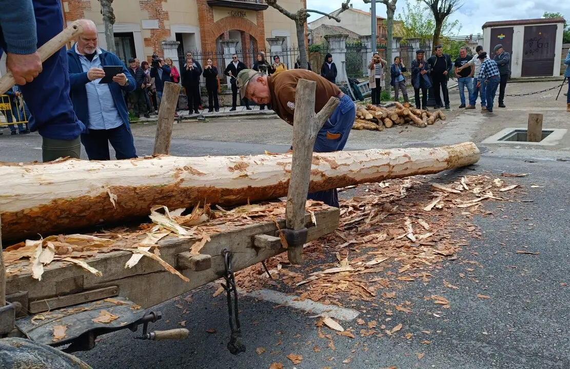 pingada del mayo eh Huerta de Rey (2)
