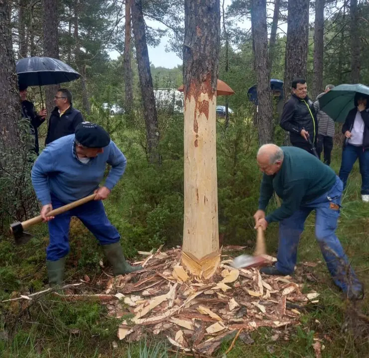 pingada del mayo eh Huerta de Rey (6)