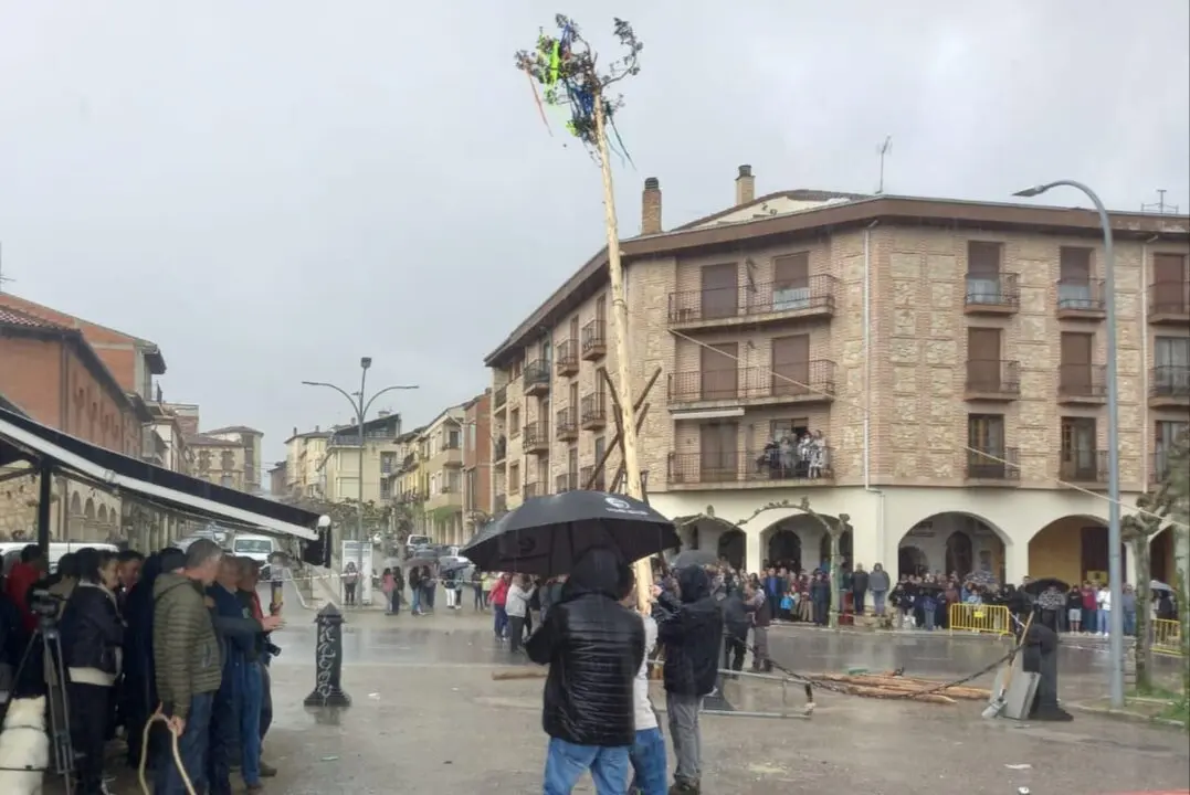 pingada del mayo eh Huerta de Rey (8)