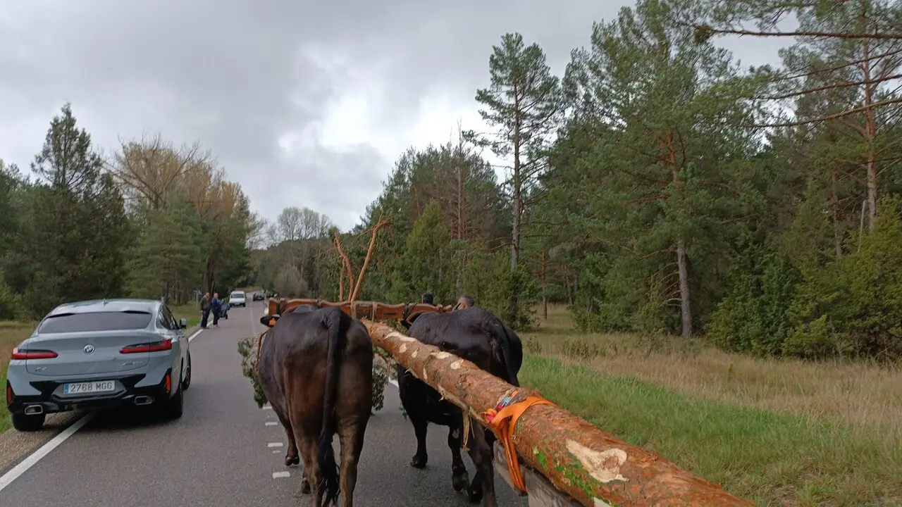 pingada del mayo eh Huerta de Rey (12)