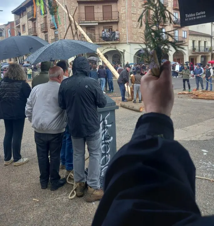 pingada del mayo eh Huerta de Rey (13)