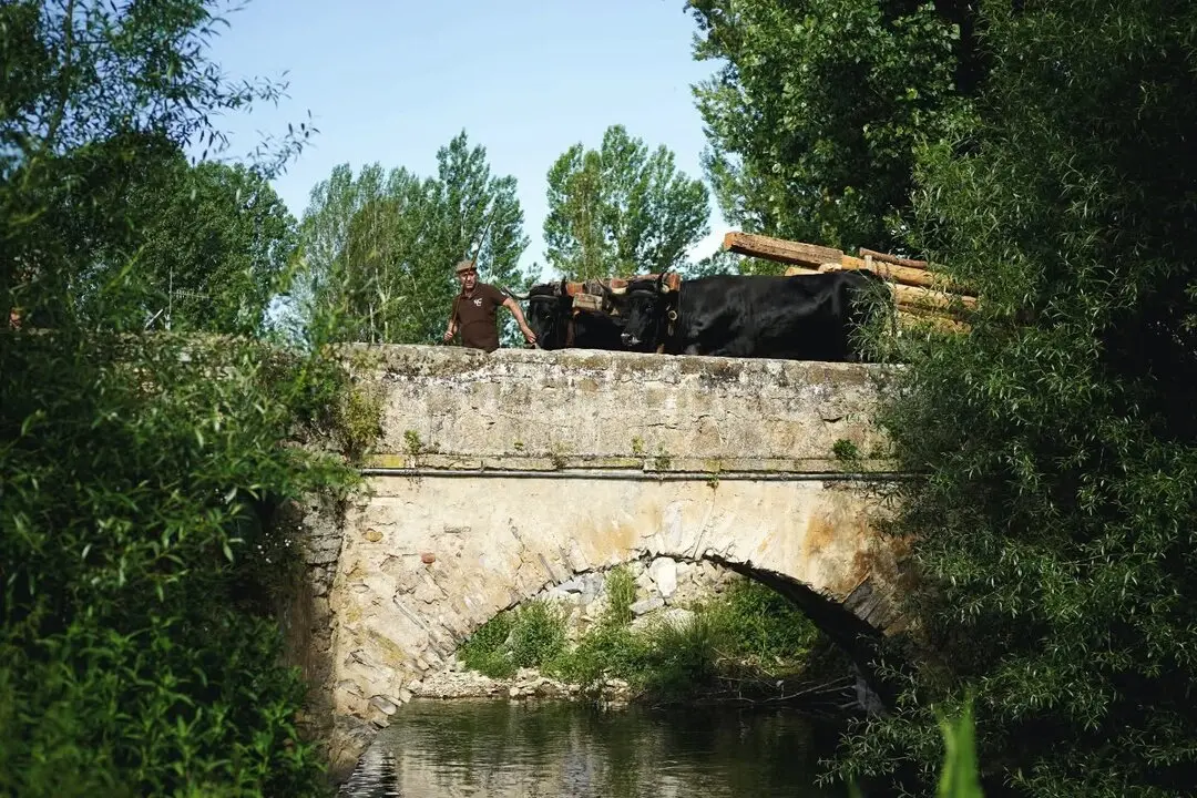 RUTA CARRETERIL TIERRAS ALTAS (30)