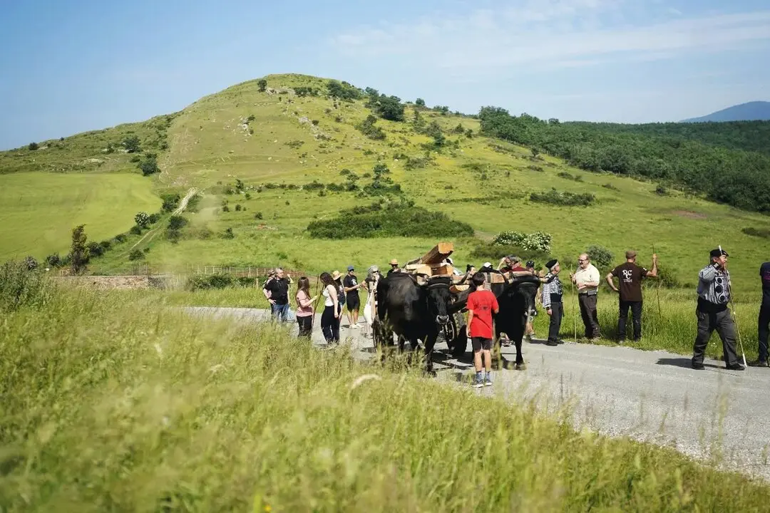 RUTA CARRETERIL TIERRAS ALTAS (5)