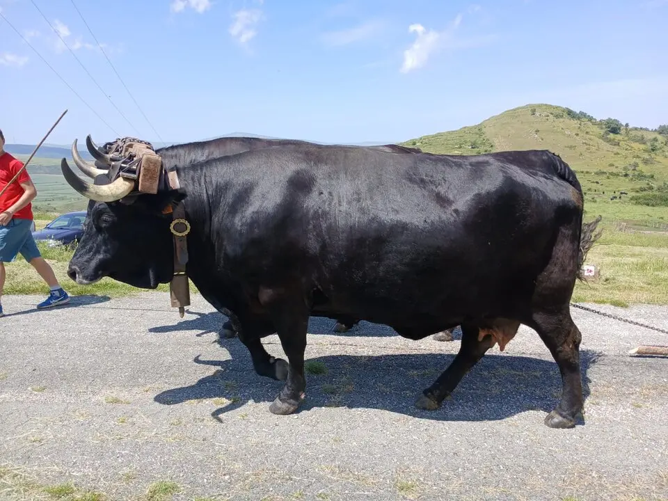 RUTA CARRETERIL TIERRAS ALTAS (13)