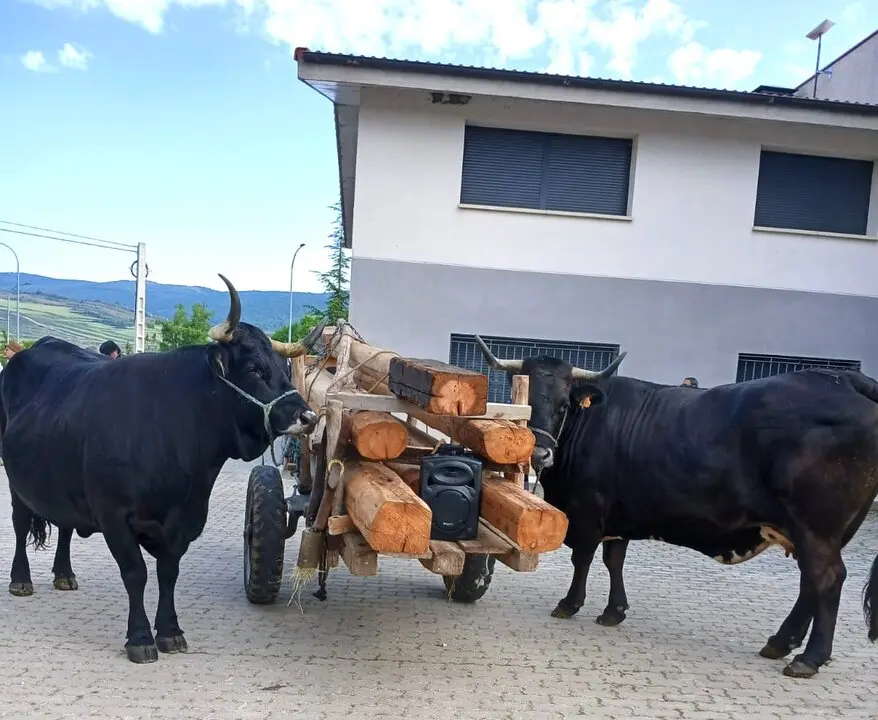 RUTA CARRETERIL TIERRAS ALTAS (16)