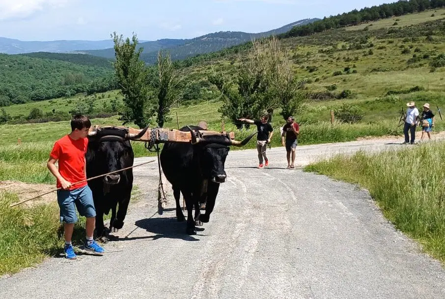 RUTA CARRETERIL TIERRAS ALTAS (18)