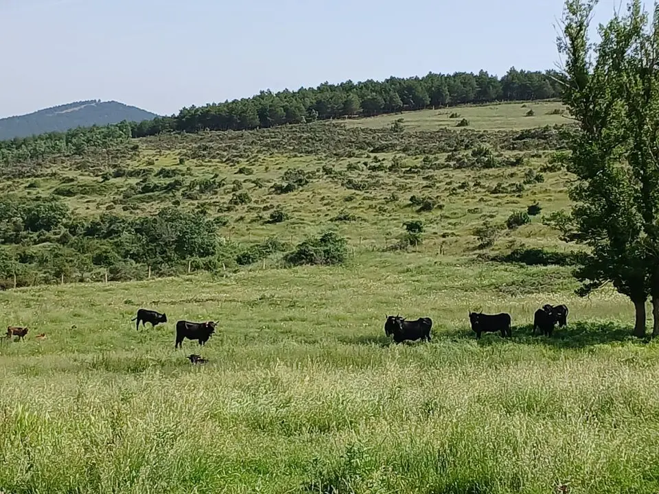 RUTA CARRETERIL TIERRAS ALTAS (20)