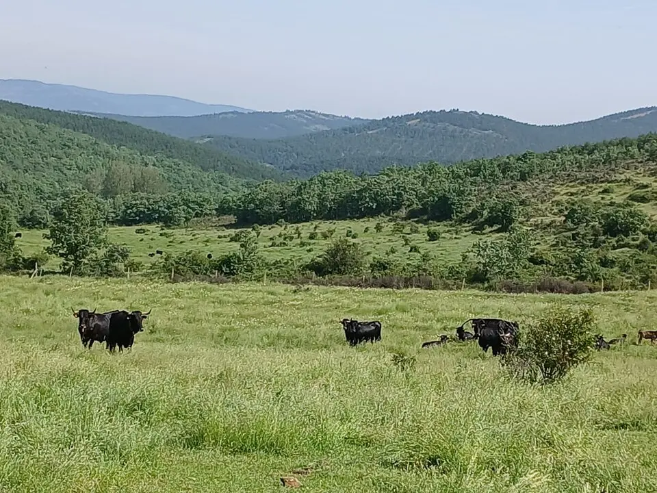 RUTA CARRETERIL TIERRAS ALTAS (22)