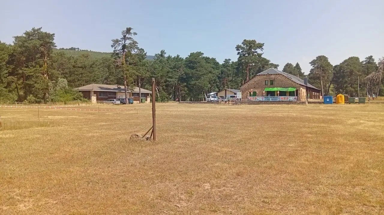 MUNDIAL DE ROGAINING EN QUINTANAR (23)