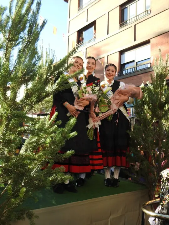 PREGON Y CARROZAS SAN LEONARDO  (35)