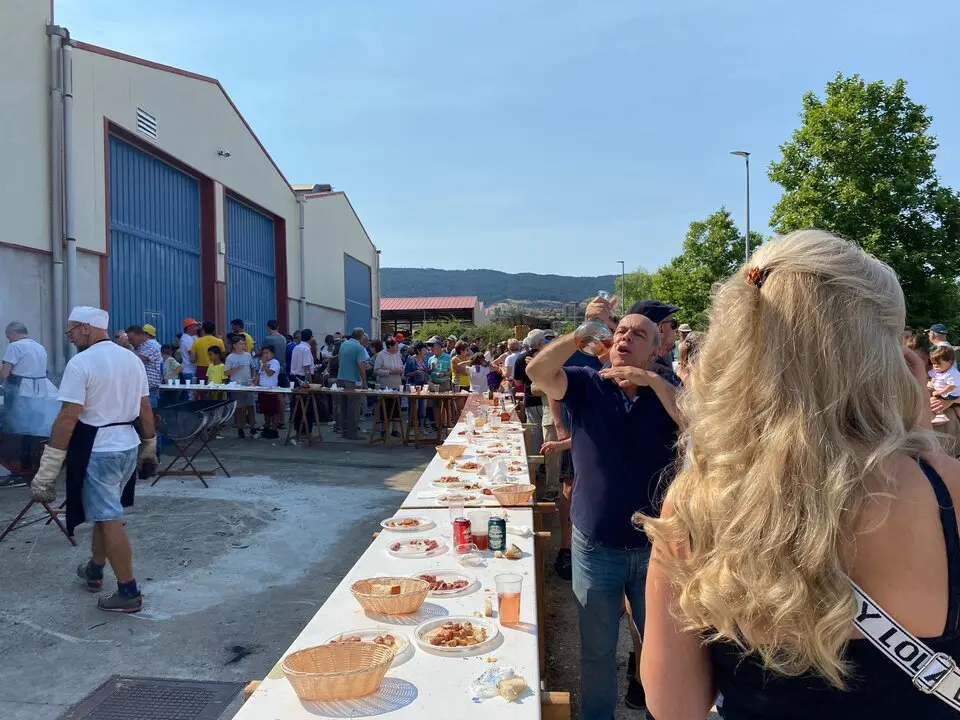 FIESTAS DE VILVIESTRE 2025 (9)