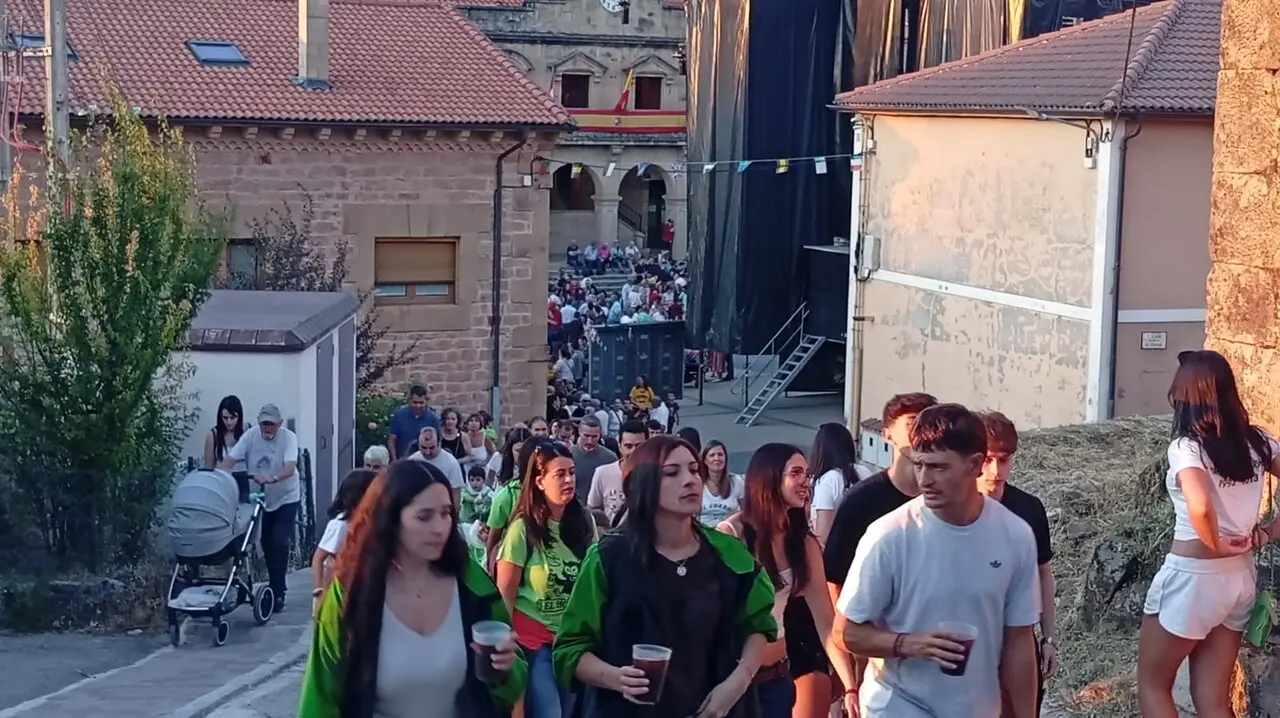 FIESTAS DE VILVIESTRE 2025 (11)