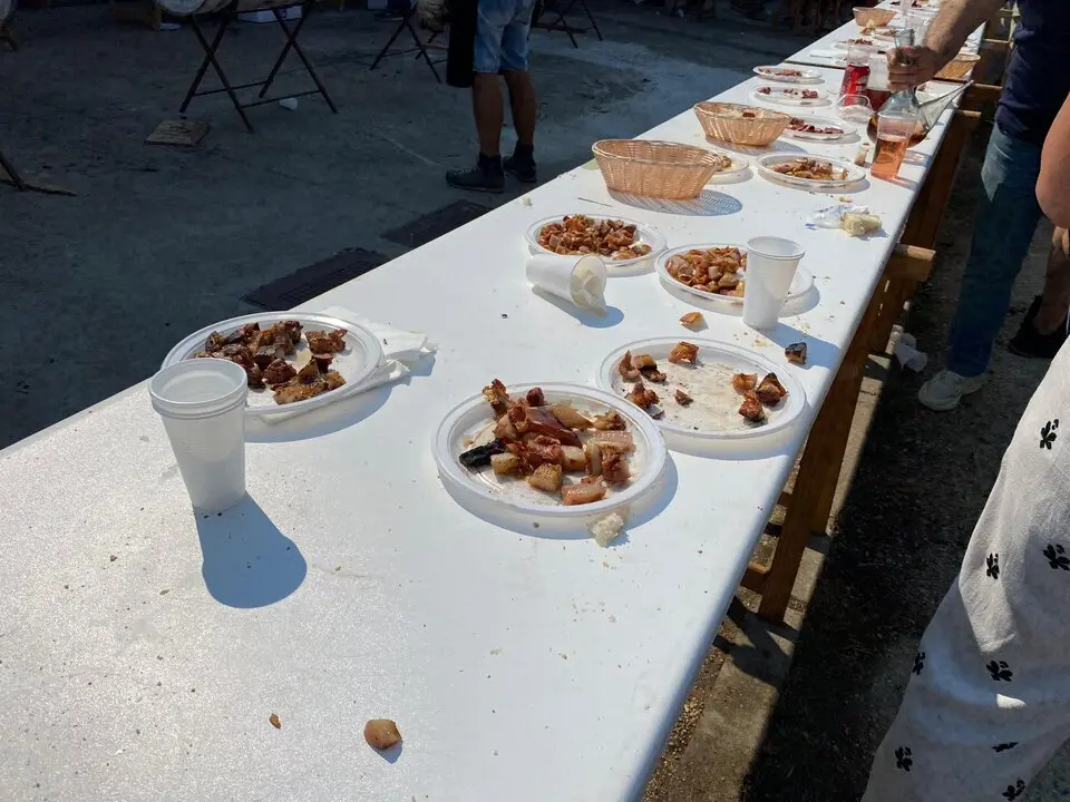 FIESTAS DE VILVIESTRE 2025 (22)