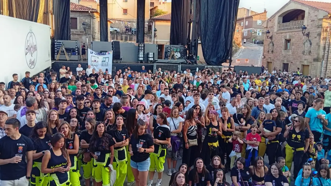 FIESTAS DE VILVIESTRE 2025 (24)