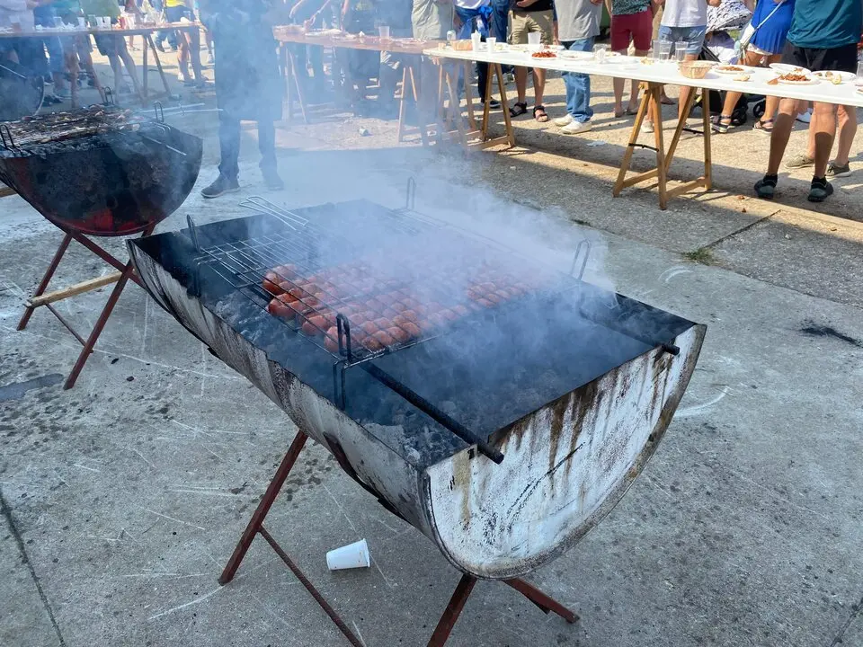 FIESTAS DE VILVIESTRE 2025 (35)