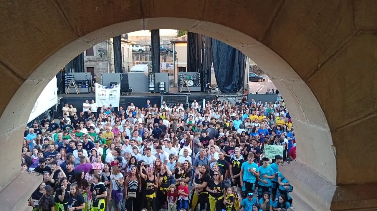 FIESTAS DE VILVIESTRE 2025 (51)