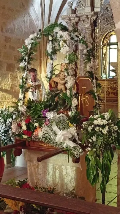 FIESTAS DE VILVIESTRE 2025 (54)