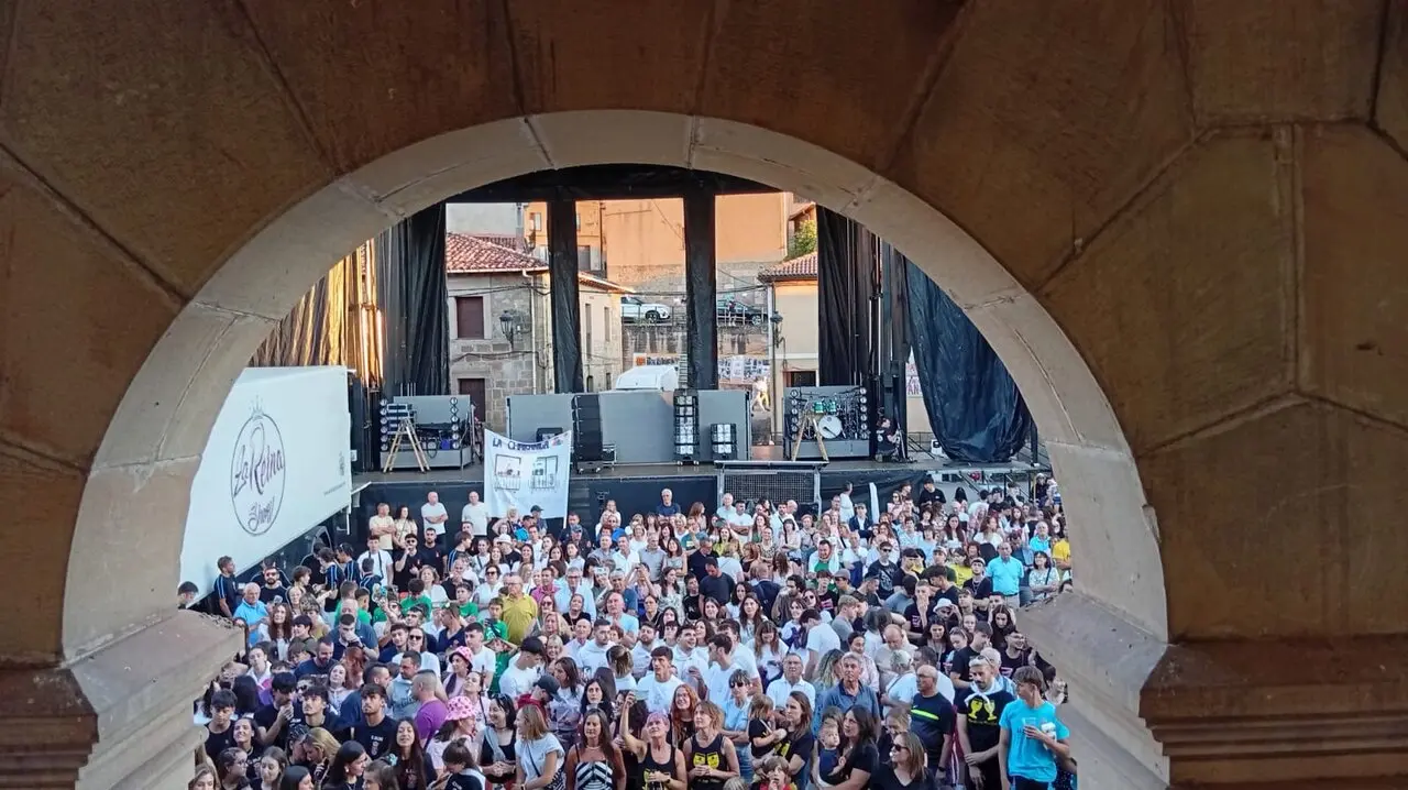 FIESTAS DE VILVIESTRE 2025 (66)