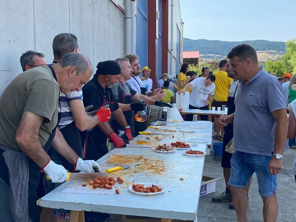 FIESTAS DE VILVIESTRE 2025 (73)