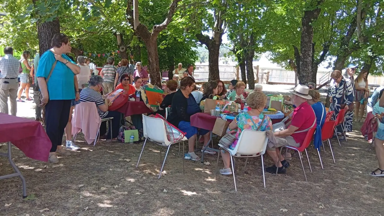 ENCAJERAS DE BOLILLOS EN COVALEDA (3)