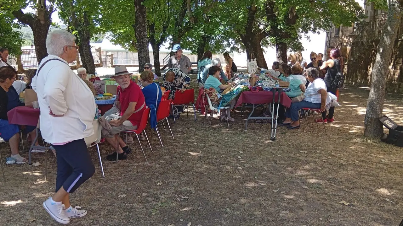 ENCAJERAS DE BOLILLOS EN COVALEDA (4)