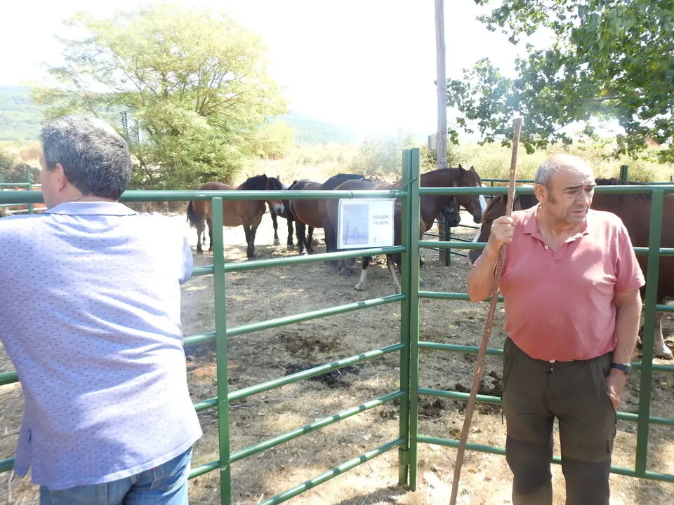 FERIA GANADERA DE VINUESA (4)