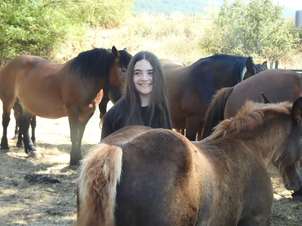 FERIA GANADERA DE VINUESA (6)