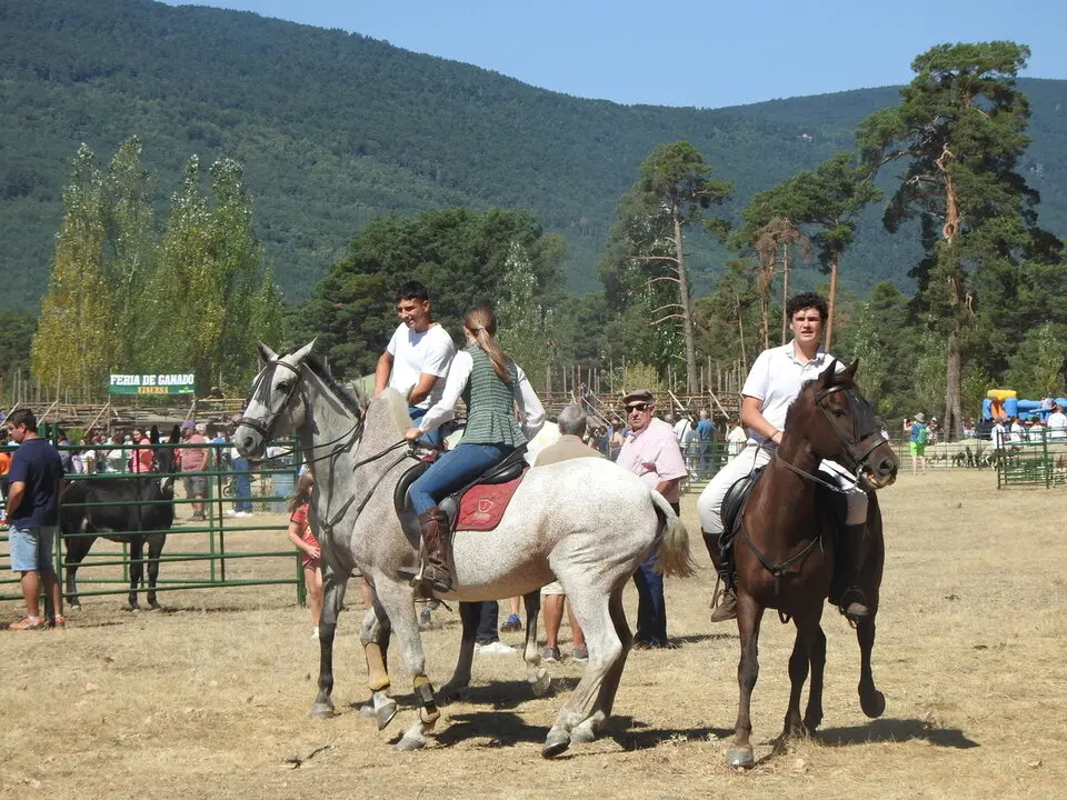 FERIA GANADERA DE VINUESA (8)