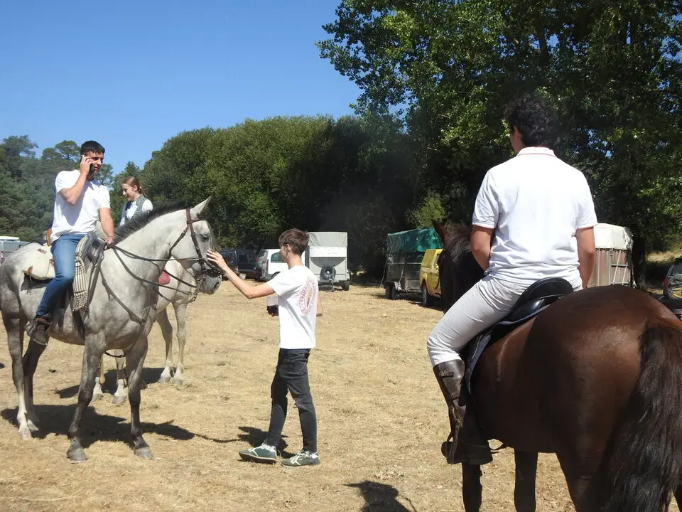 FERIA GANADERA DE VINUESA (9)