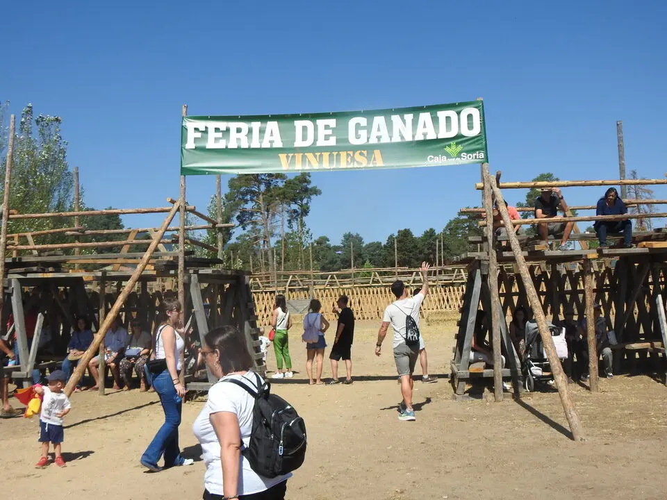 FERIA GANADERA DE VINUESA (19)