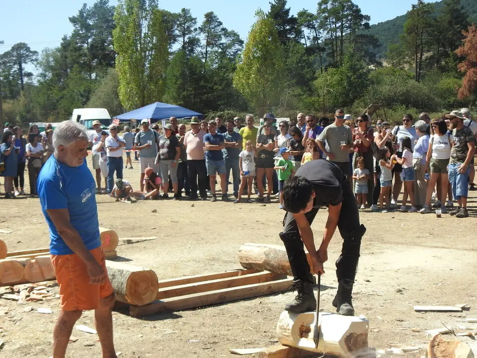 FERIA GANADERA DE VINUESA (22)