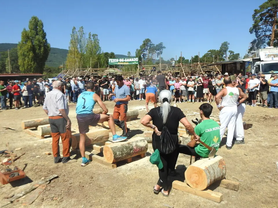 FERIA GANADERA DE VINUESA (23)