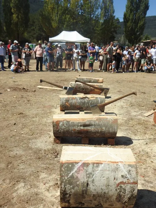 FERIA GANADERA DE VINUESA (24)