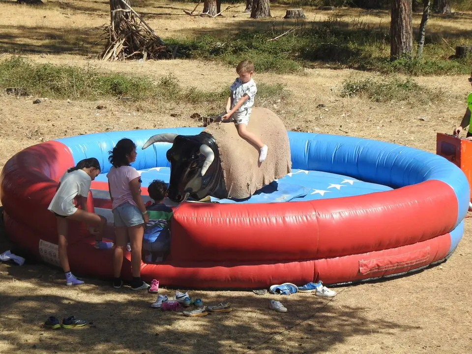FERIA GANADERA DE VINUESA (25)