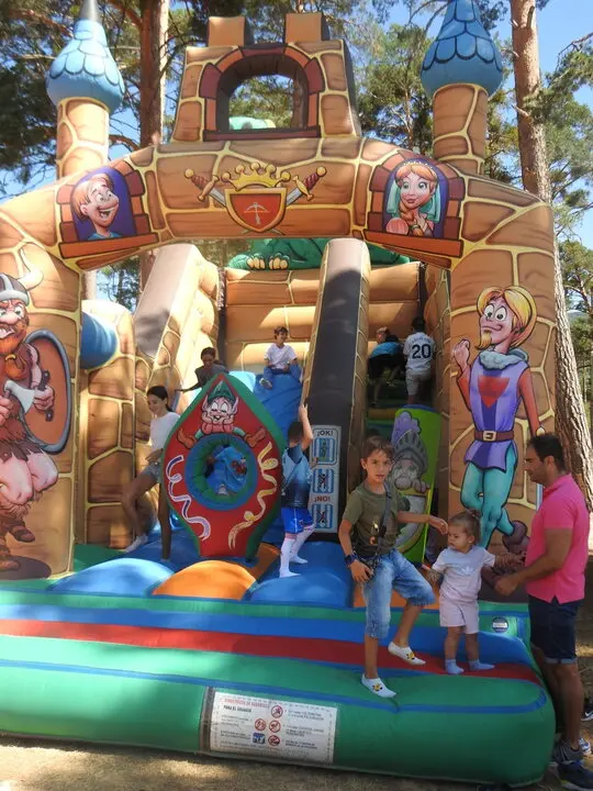 FERIA GANADERA DE VINUESA (27)