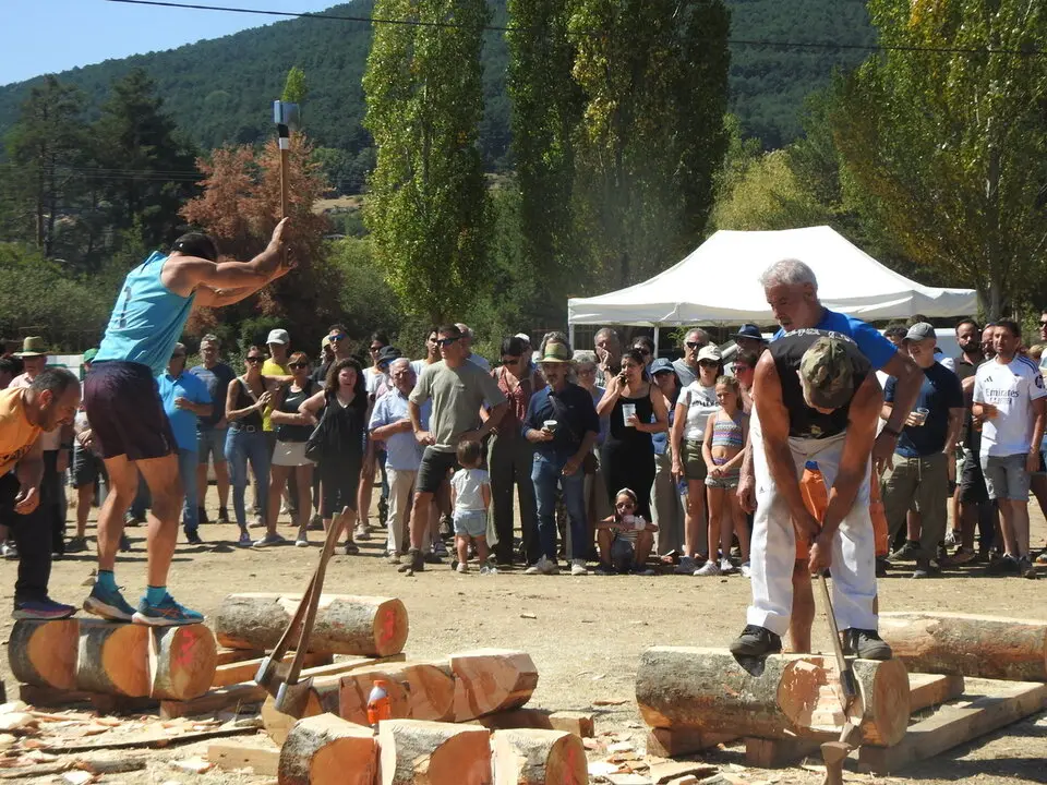 FERIA GANADERA DE VINUESA (29)