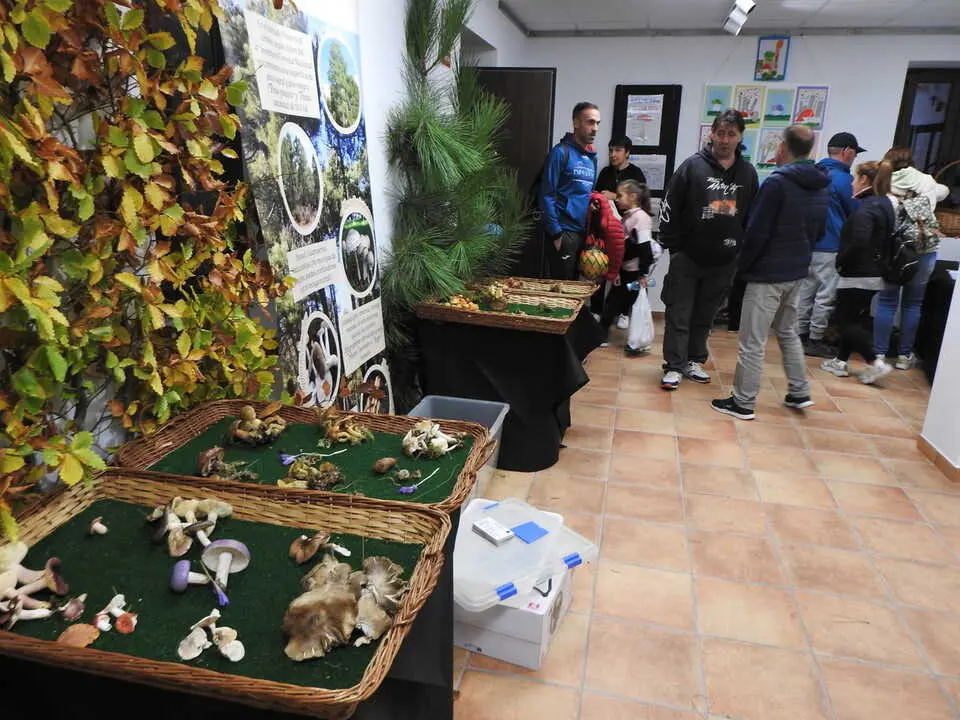 ARTESANÍA Y SETAS EN COVALEDA (5)