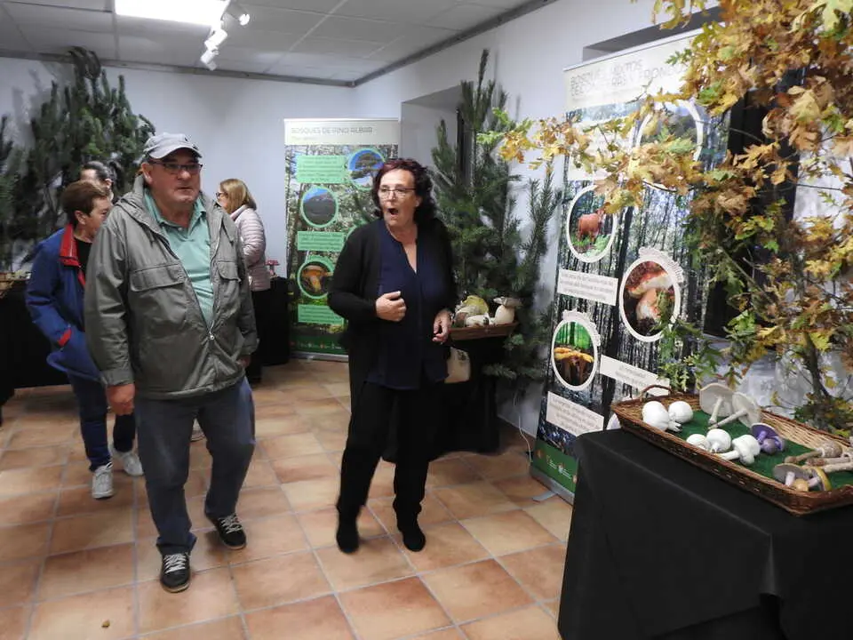 ARTESANÍA Y SETAS EN COVALEDA (6)