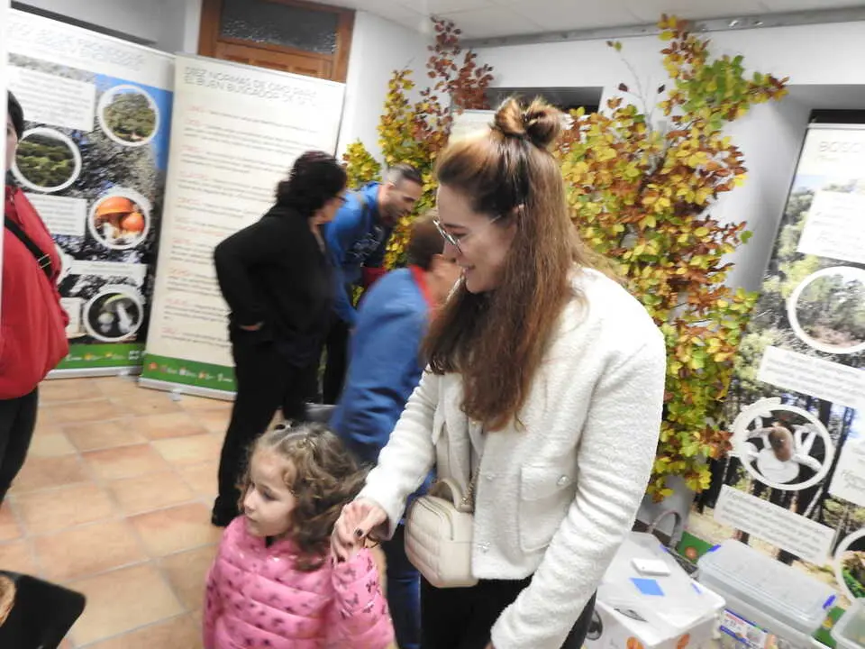 ARTESANÍA Y SETAS EN COVALEDA (7)