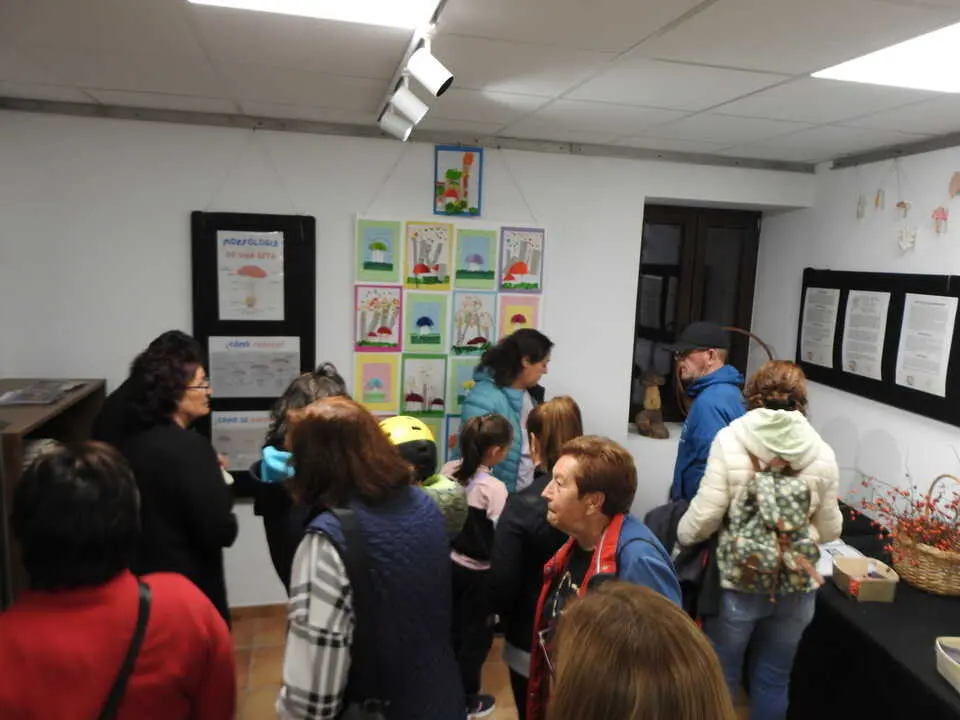 ARTESANÍA Y SETAS EN COVALEDA (8)