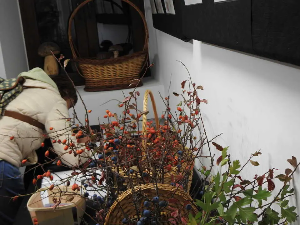 ARTESANÍA Y SETAS EN COVALEDA (9)