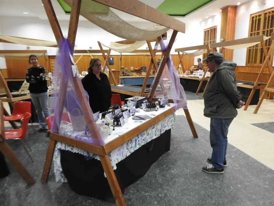 ARTESANÍA Y SETAS EN COVALEDA (17)