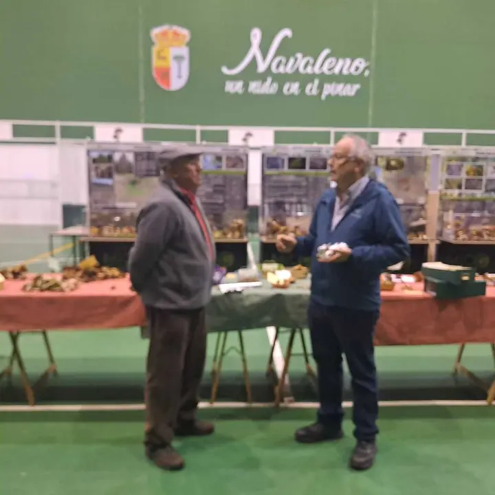JORNADAS MICOLOGICAS NAVALENO 2025 (1)