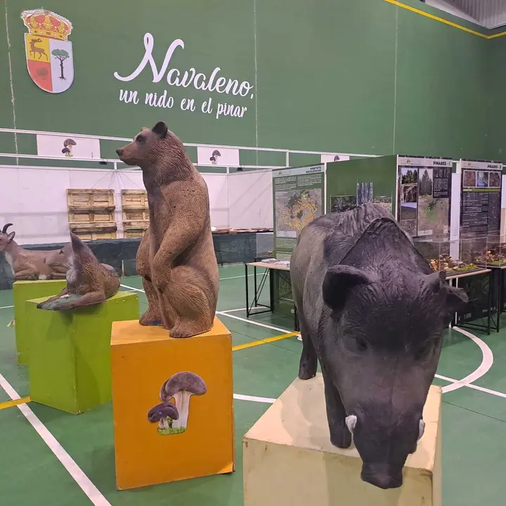 JORNADAS MICOLOGICAS NAVALENO 2025 (3)