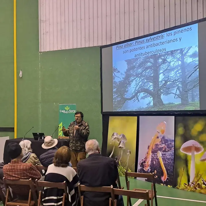 JORNADAS MICOLOGICAS NAVALENO 2025 (8)